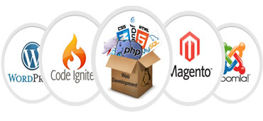 Web Development